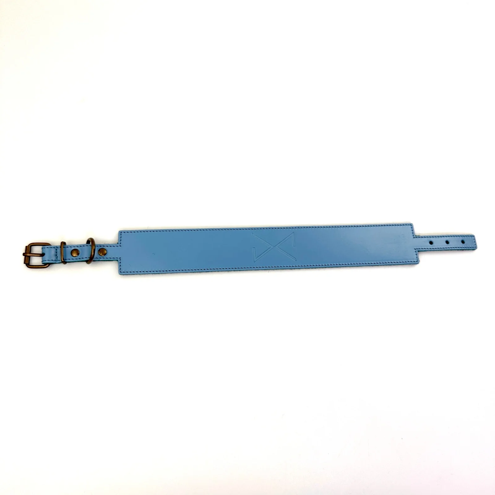 Collar Canino de Piel Celeste - Image 3